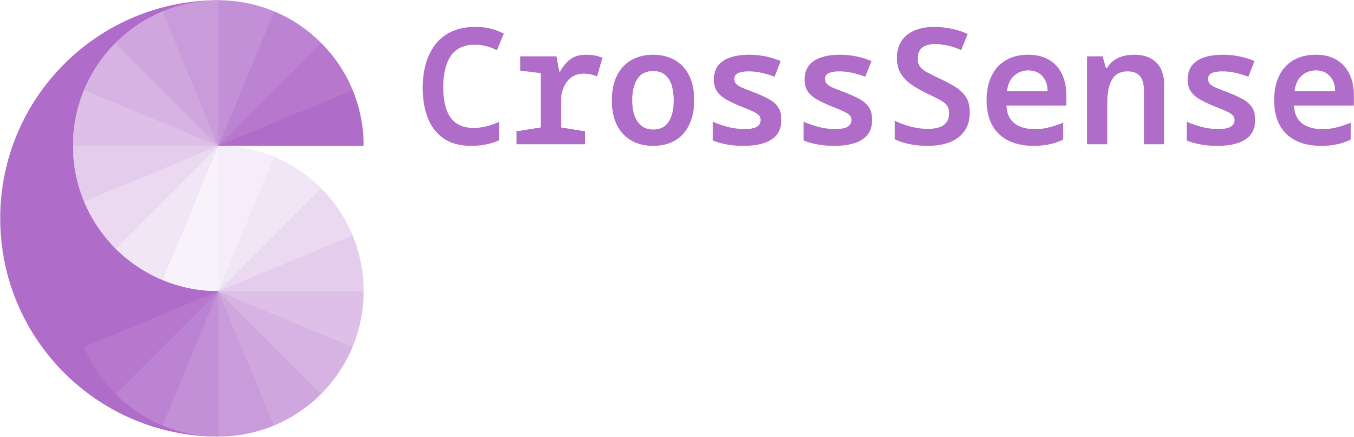 Cross sense logo