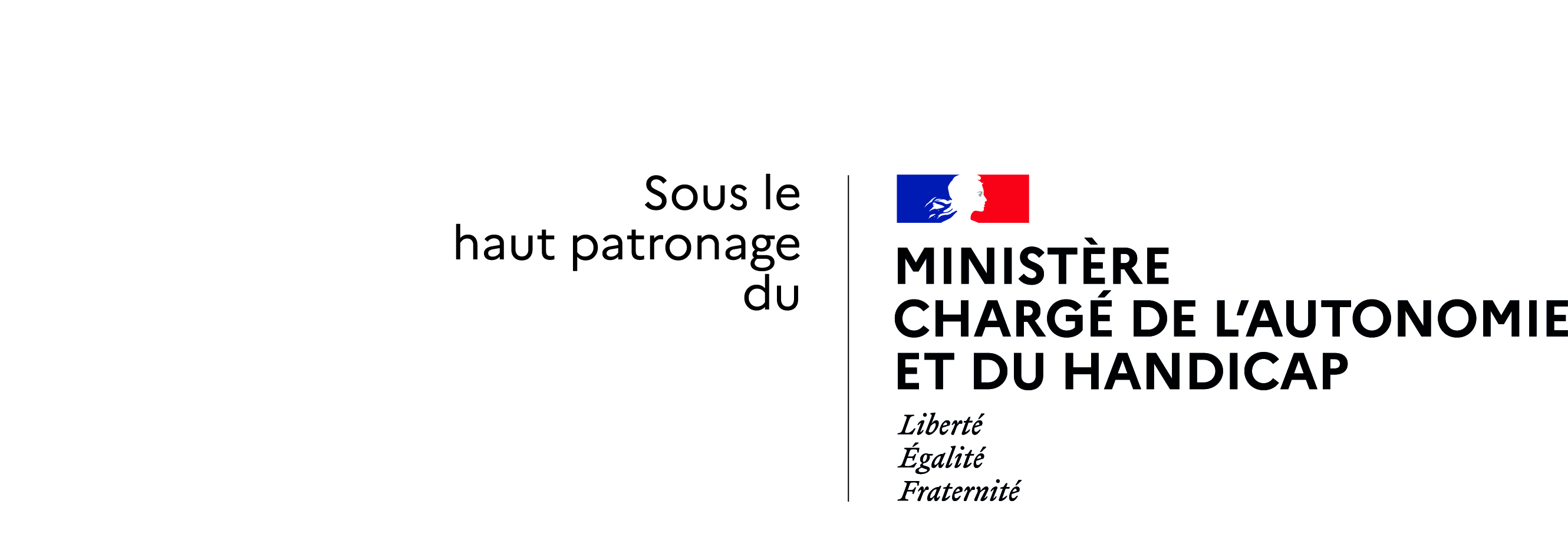 Ministère chargée de l’Autonomie et du Handicap logo